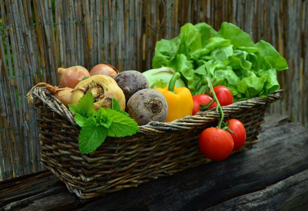 Gemüse essen täglich frisch aus dem eigenen Garten